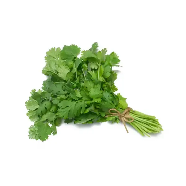 Cilantro en Chile